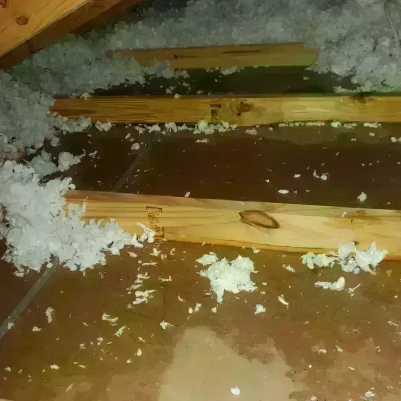 Attic Water Damage in Fobes Hill, WA